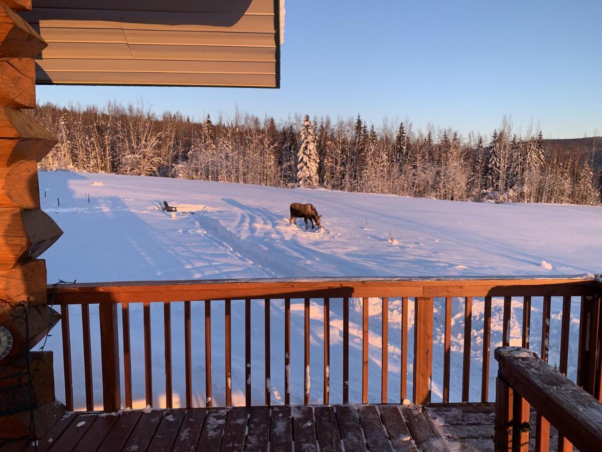 Pleasant Valley Secluded Log Cabin, 30 Min From Chena Hot Springs מראה חיצוני תמונה