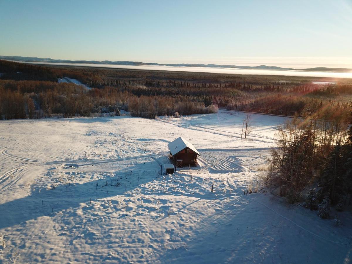 Pleasant Valley Secluded Log Cabin, 30 Min From Chena Hot Springs מראה חיצוני תמונה