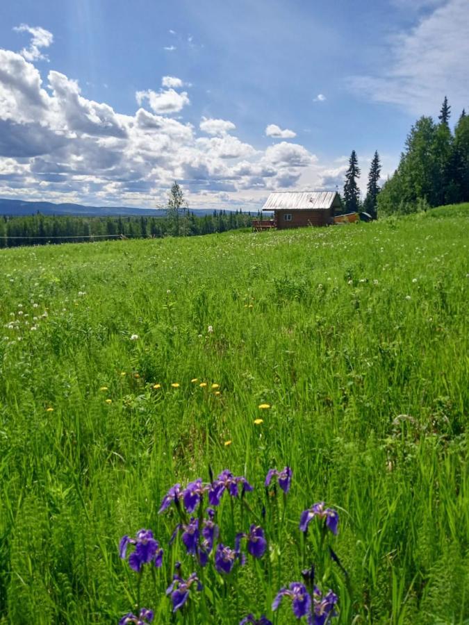 Pleasant Valley Secluded Log Cabin, 30 Min From Chena Hot Springs מראה חיצוני תמונה