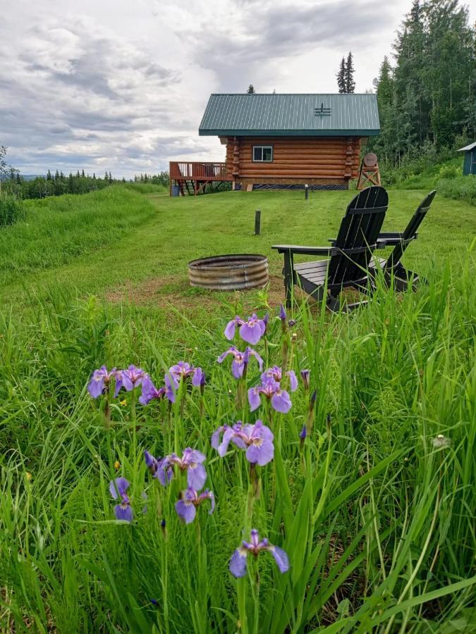 Pleasant Valley Secluded Log Cabin, 30 Min From Chena Hot Springs מראה חיצוני תמונה